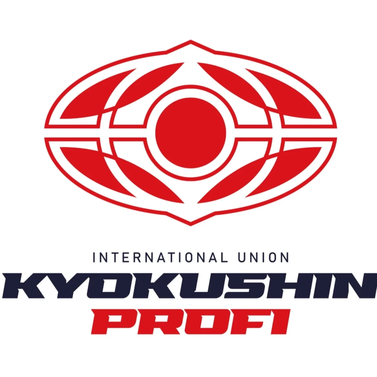 Киокушин Профи