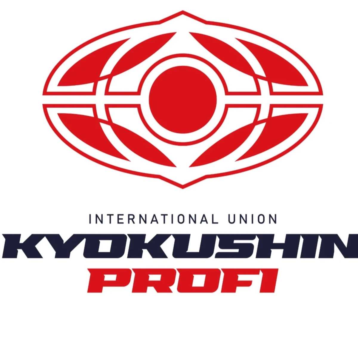 Киокушин Профи