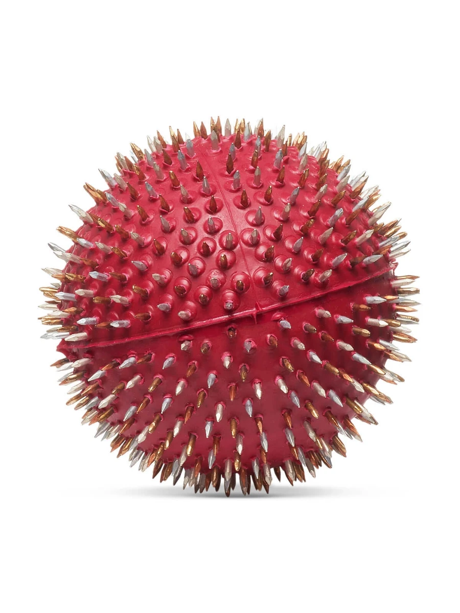 Мячик игольчатый Ляпко