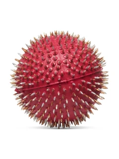 Мячик игольчатый Ляпко