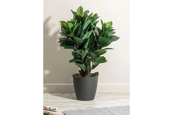 Фото для Горшок для цветов с поддоном Saffron, 9,1 л, d=26,7 см, h=24,5 см, пластиковый, черный