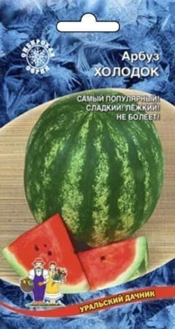 Фото для Арбуз Холодок 10 шт
