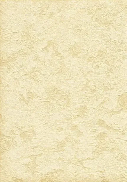 Фото для Обои Палитра Рустика 1,06х10 м бежевый, виниловые на флизелиновой основе