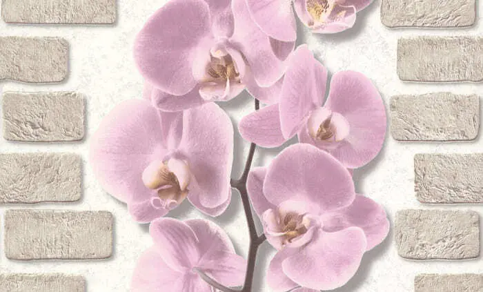 Обои Аспект Орхидея 10107-85 0,53х10,05 м розовый, виниловые на бумажной основе