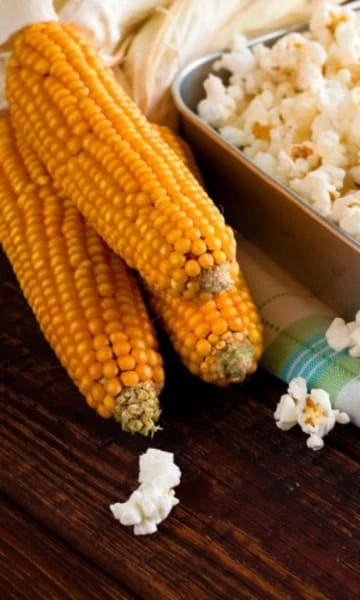 Фото для Кукуруза Попкорн, 5г, белый пакет