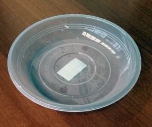 2c13bfc93ff734c655a11551c1b62d58