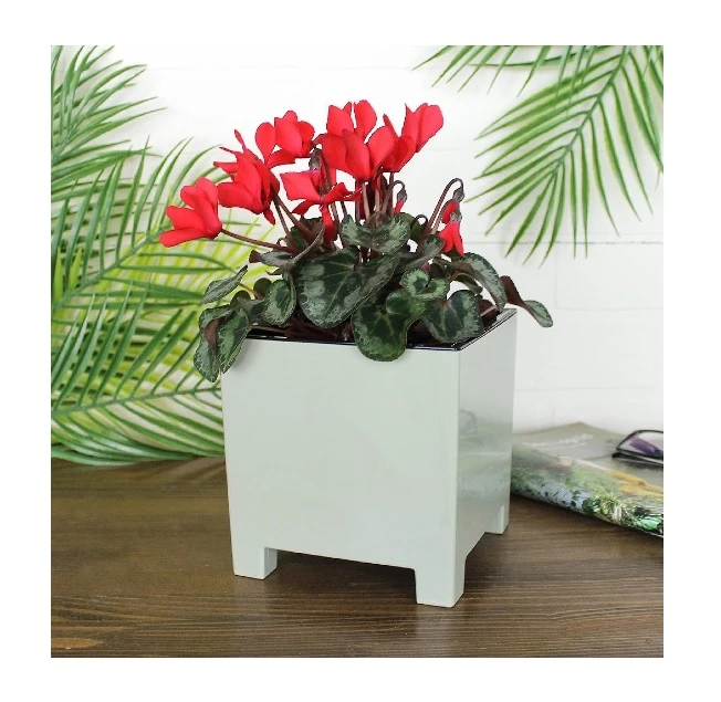 gorshok_nard_2_1l_shalfey_s_vkladkoy_d14_h14