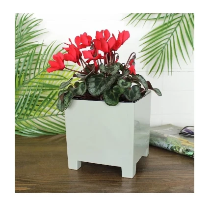 gorshok_nard_2_1l_shalfey_s_vkladkoy_d14_h14