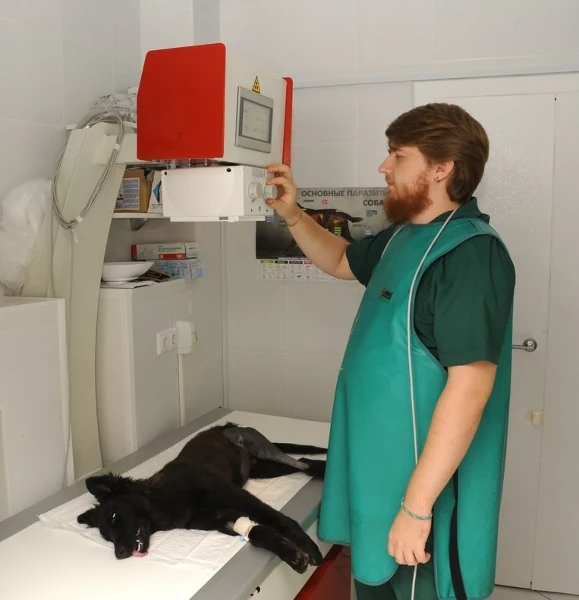 Контрастная рентгенография желудочно-кишечного тракта