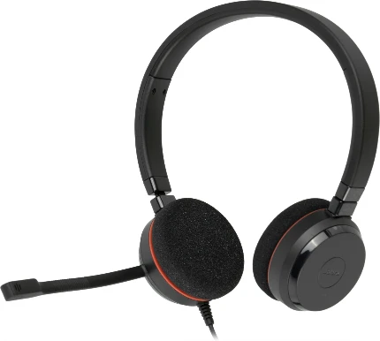 Фото для Наушники+микрофон Jabra Evolve 20 MS Duo черный 1.2м накладные USB (4999-823-189)