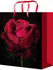 Фото для ПАКЕТ ПОДАРОЧНЫЙ 18*23*10СМ "КРАСНАЯ РОЗА"