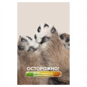 Фото для БЛОКНОТ СКЛЕЙКА А5 40Л LISTOFF (БСК540169, Лапки)