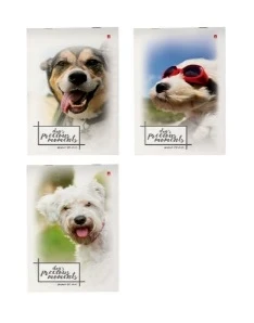 Фото для БЛОКНОТ СКОБА А5 40Л АЛЬТ (3-40-578, Щеночки)