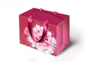 Фото для ПАКЕТ ПОДАРОЧНЫЙ 23*16*11СМ М 0710.152 "СУМКА-КОРОБКА" 