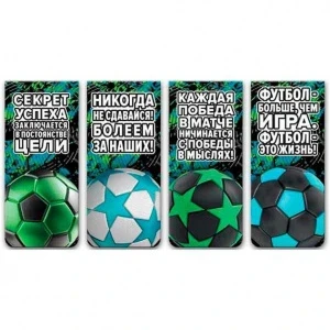 Фото для ЗАКЛАДКА МАГНИТНАЯ deVENTE 4ШТ 25*56,6ММ (8065310, Football )