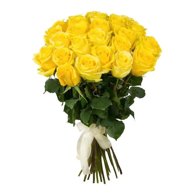 25-yellow-roses