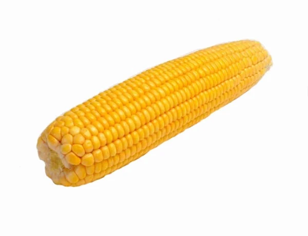 gkq1e31xkzrngqtgcb5xjyzao6ug0bkk