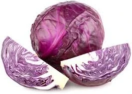 9artjm6a11zl0xagrdo0z1h355lccqjd