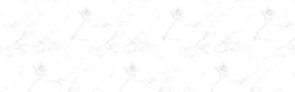 qu36m7ysgvdudq5t1fs4a1uqauzrd77d