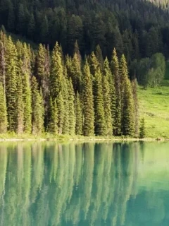 Бутилированная вода для детских учреждений