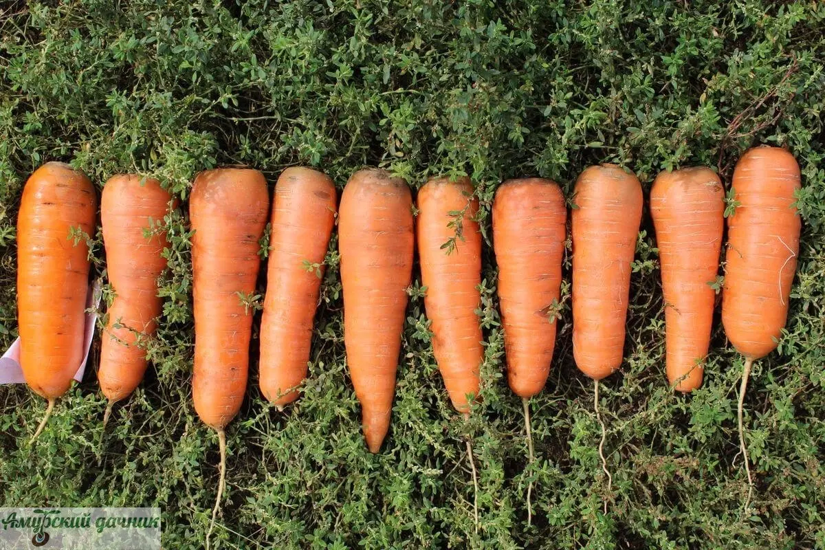 910e97552e90414212657ffccc6eee27