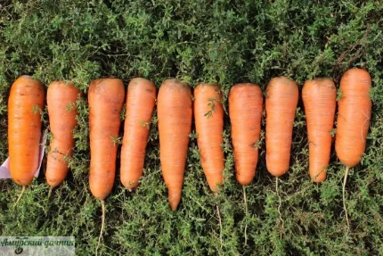 910e97552e90414212657ffccc6eee27