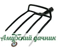 81nprj8dheaontmw062r60z6bjym7x8c