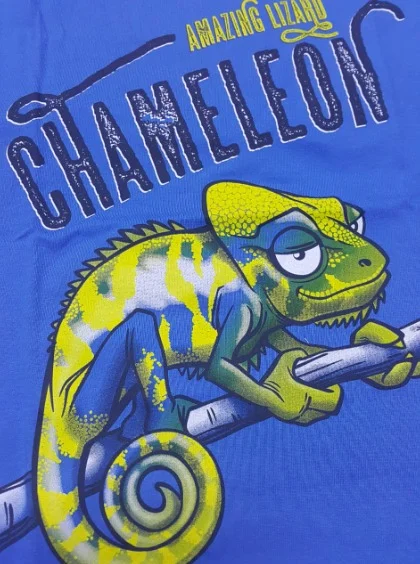 Детская футболка "Хамелеон"