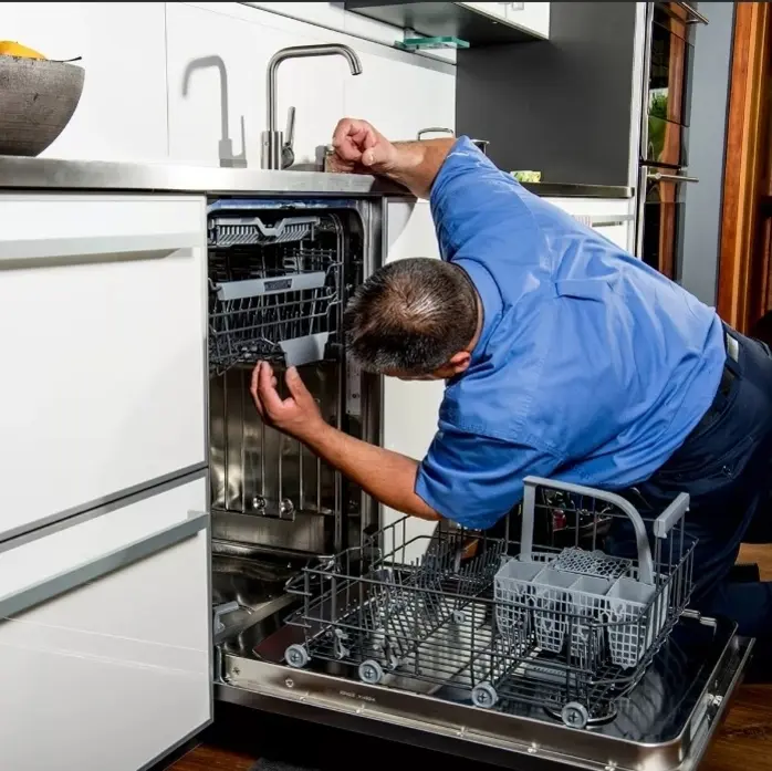 Диагностика и ремонт посудомоечных машин