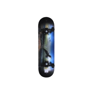 304630_1