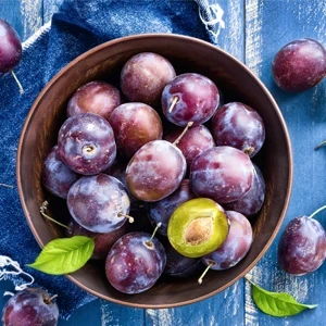 g0ivhvzne4zthnmp2xbj53s1v19plw0q