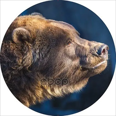 05e3c2f82c195253bb3dfbe48f8c871dd509ba0005