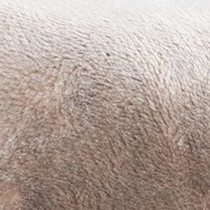 Кровать Соня 