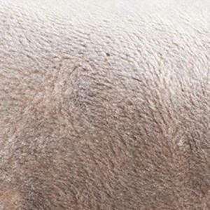 Кровать Соня 