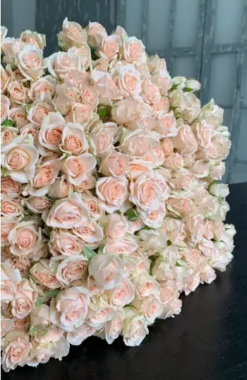 Кустовая Роза – необычайно красивый и нежный цветок с приятным ароматом.