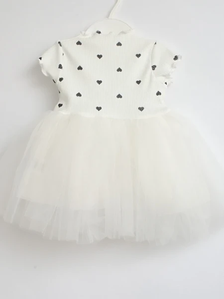 1oz36dbnq4vy0loj422a2wc92h4kzu4p