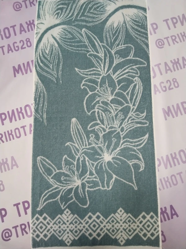 sqc35jzkv8xjb03evv5xoxgrkvi4q3nq