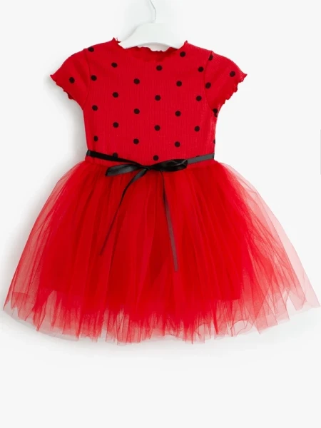 4xe57pvophth1x562pd2aekkj6re2ofs