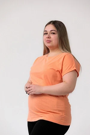 e03x53ko2ct8ptc4nx2s51njo28j2kts