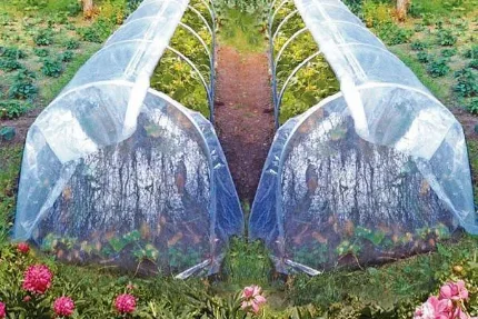 Фото для Парник "Огурчик"