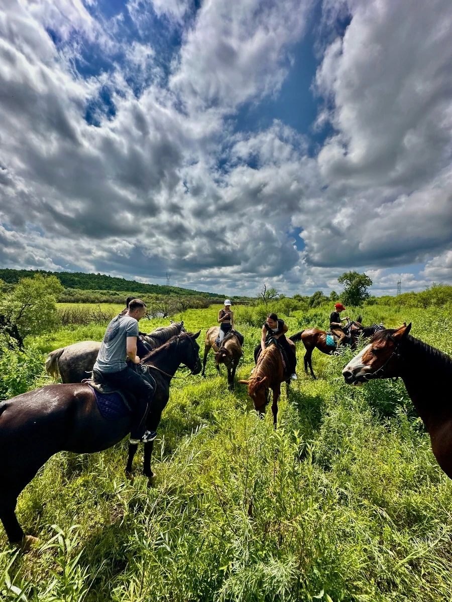Прогулка на лошадях