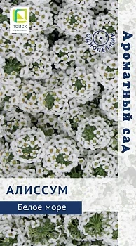 Алиссум Белое море (ЦВ) (Ароматный сад 1) 0,3гр