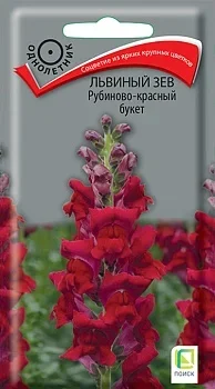 Фото для Львиный зев (Антирринум) Рубиново-красный букет (ЦВ ) ("1) 0,1гр.