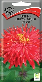 Фото для Цинния кактусовидная Бог огня (ЦВ) ("1) 0,4гр.
