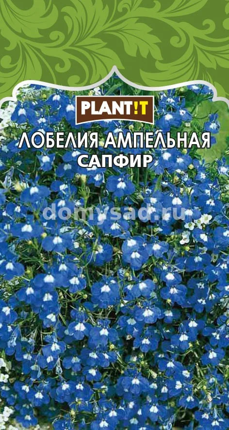 Лобелия Сапфир ампельная (PLANT!T) Ц
