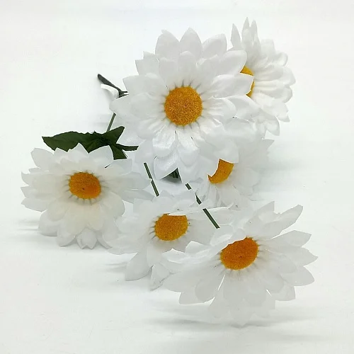 78f3bdd4f62911ee832ed85ed377b6fa_78f3bdd5f62911ee832ed85ed377b6fa