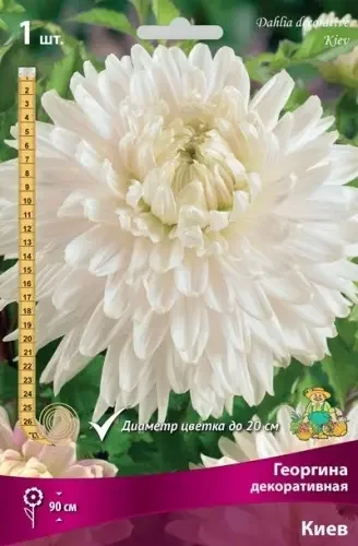 a6df7857ddc311ed8293d85ed377b6fa_5f64fd01156711ee8296d85ed377b6fa