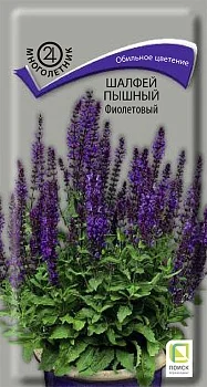 Шалфей (дубравный) пышный Фиолетовый (ЦВ) ("М) 0,1 гр