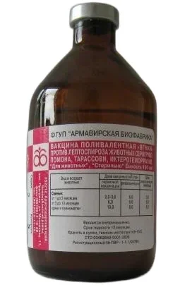 Лептоспироз КРС фл.100 мл (10 доз)