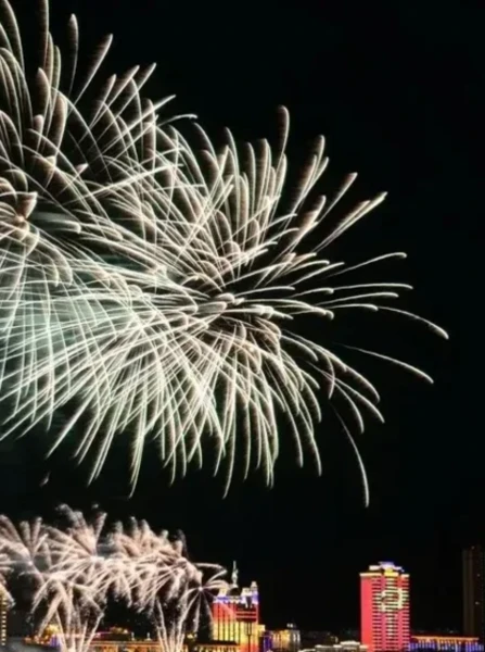 Новый год 2024: Хэйхэ на 4 дня, Гостиница ХANA